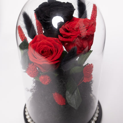Cupolă Lux 3 Trandafiri Criogenați (Roșu & Negru) cu Perle