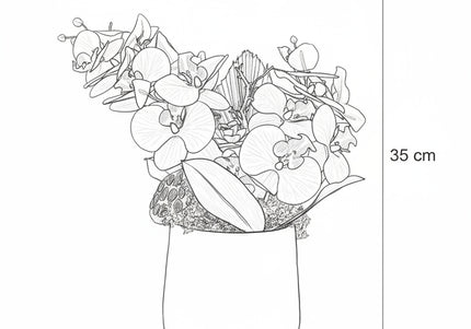 Aranjament Floral „Orchid Sunset” în Vas Ceramic – Compoziție Premium cu Orhidee Portocalii, Licheni și Accente Exotice