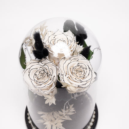 Cupolă Lux 3 Trandafiri Criogenați Albi cu Vârf Negru & Perle
