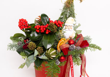Aranjament Crăciun "Santa's Garden" cu Skimmia și Brad