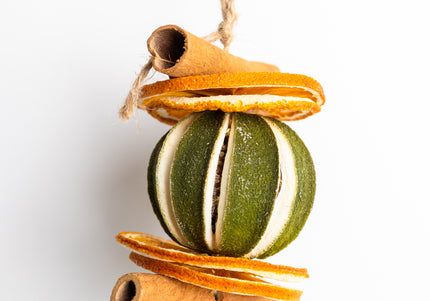 Ornament de Crăciun Suspendat „Citrus & Spice Harmony”