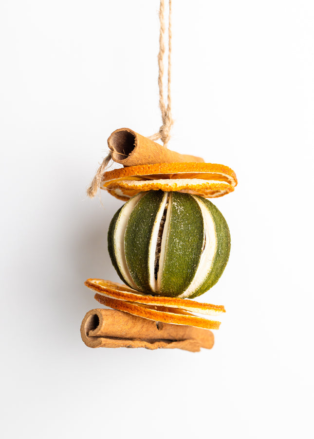 Ornament de Crăciun Suspendat „Citrus & Spice Harmony”