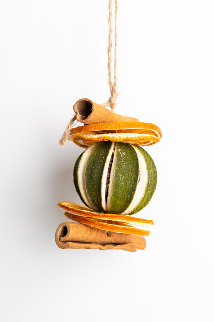 Ornament de Crăciun Suspendat „Citrus & Spice Harmony”