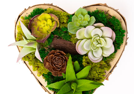 Tablou decorativ „Green Heart Petite” – inimă cu suculente și mușchi stabilizat