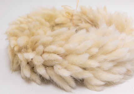 Coroniță Decorativă din Lagurus Alb Natural – Aranjament Pufos „Coda Mâței” Stil Boho