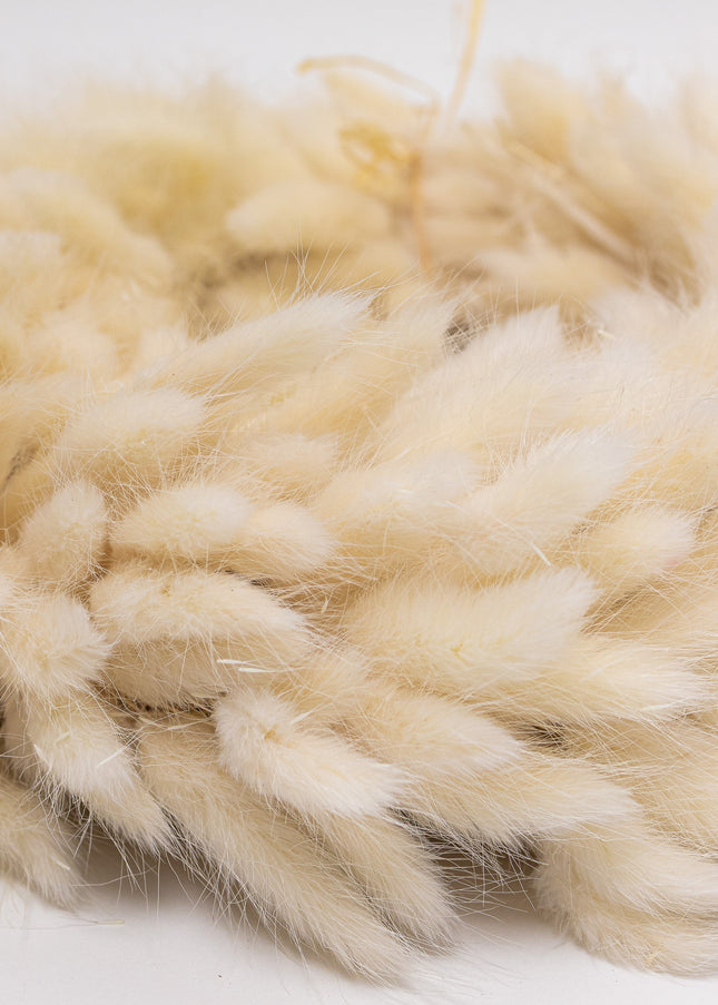 Coroniță Decorativă din Lagurus Alb Natural – Aranjament Pufos „Coda Mâței” Stil Boho