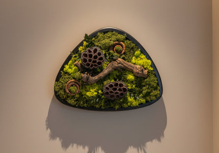 Terariu Biophilic „Emerald Basin” – Aranjament Handmade cu Licheni Stabilizați și Lotus în Vas Ceramic Triunghiular