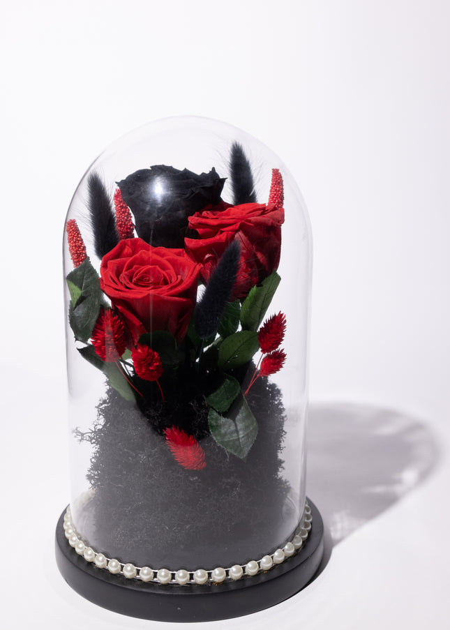 Cupolă Lux 3 Trandafiri Criogenați (Roșu & Negru) cu Perle