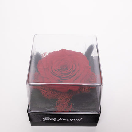 Trandafir Criogenat Roșu Gigant în Cutie Acrilică cu Pană & Mesaj