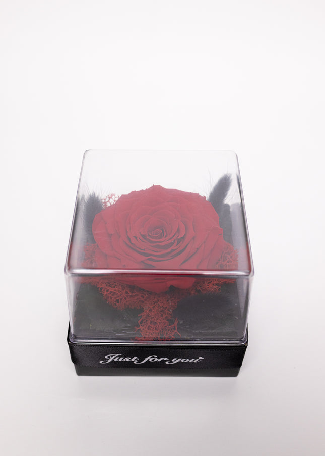 Trandafir Criogenat Roșu Gigant în Cutie Acrilică cu Pană & Mesaj