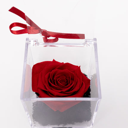Trandafir Criogenat Roșu în Cutie Acrilică Pătrată