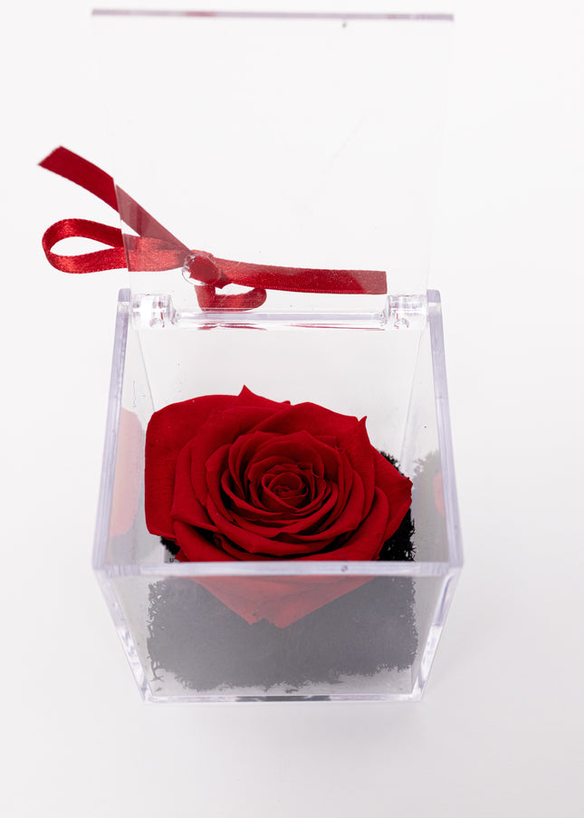 Trandafir Criogenat Roșu în Cutie Acrilică Pătrată