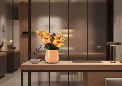 Aranjament Floral „Orchid Sunset” în Vas Ceramic – Compoziție Premium cu Orhidee Portocalii, Licheni și Accente Exotice