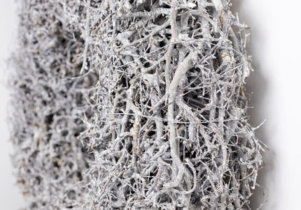 Coroniță Sculpturală „Silver Bonsai” – Piesă de Design Handmade din Rădăcini Naturale de Bonsai