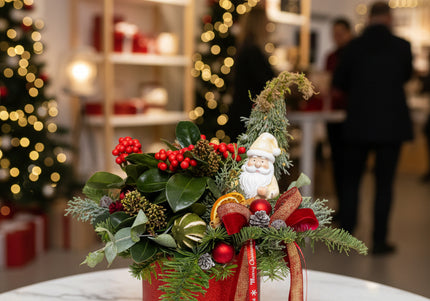 Aranjament Crăciun "Santa's Garden" cu Skimmia și Brad