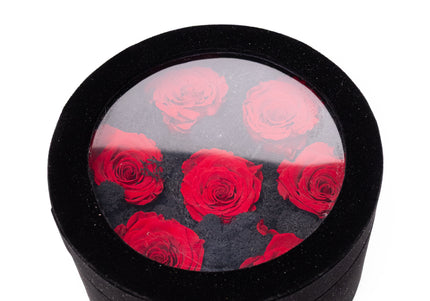 Aranjament Lux 7 Trandafiri Criogenați Roșii, Cutie Catifea Neagră