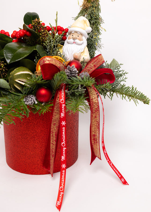 Aranjament Crăciun "Santa's Garden" cu Skimmia și Brad