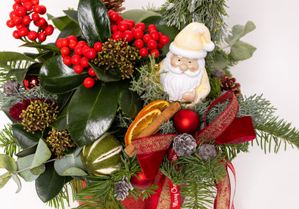 Aranjament Crăciun "Santa's Garden" cu Skimmia și Brad