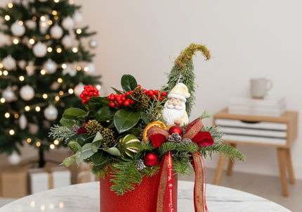 Aranjament Crăciun "Santa's Garden" cu Skimmia și Brad