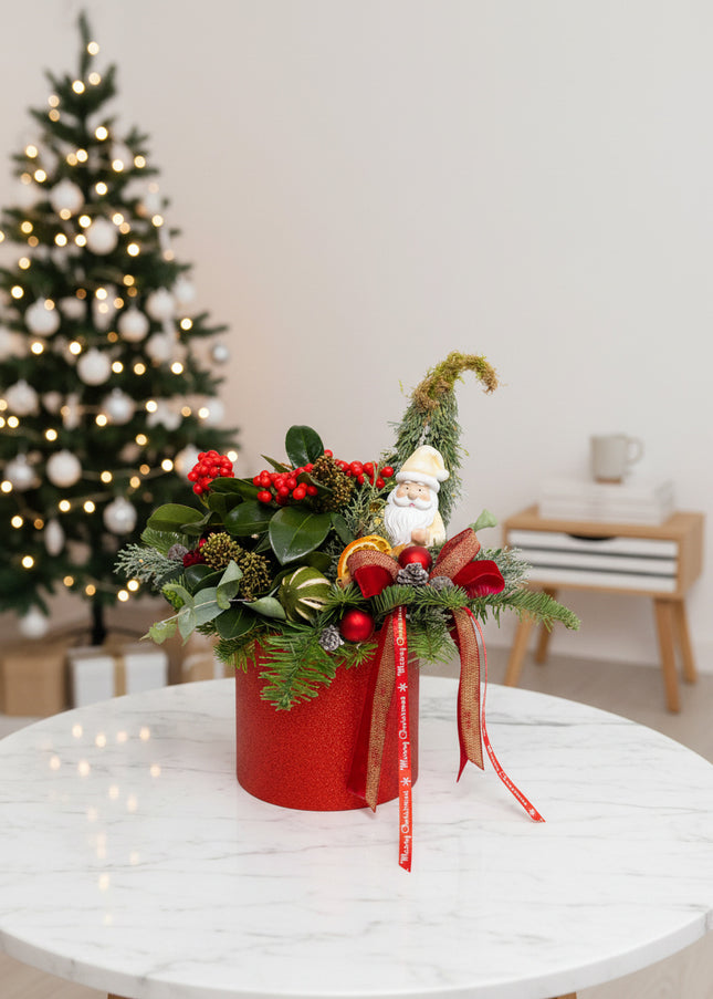 Aranjament Crăciun "Santa's Garden" cu Skimmia și Brad