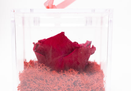 Aranjament de Lux "Amethyst Cube Muse" cu Trandafir Criogenat