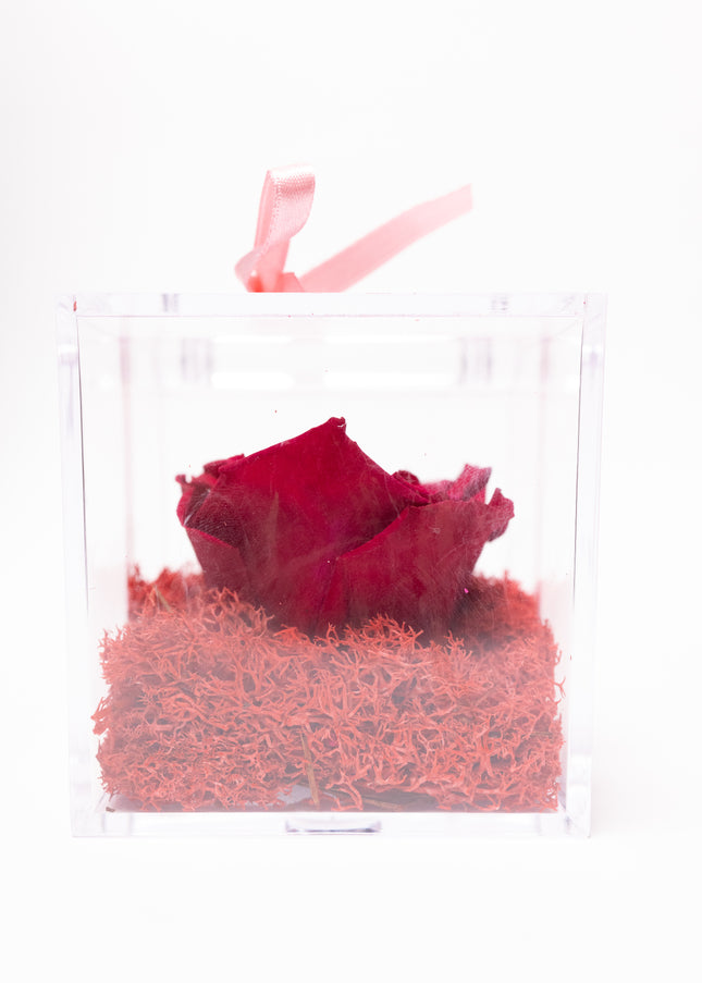 Aranjament de Lux "Amethyst Cube Muse" cu Trandafir Criogenat