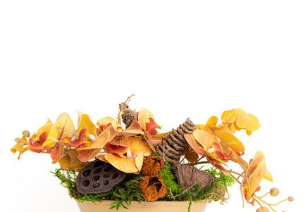 Aranjament Floral „Golden Orchid” în Vas Ceramic – Compoziție cu Orhidee Galbene, Licheni și Elemente Naturale Conservate