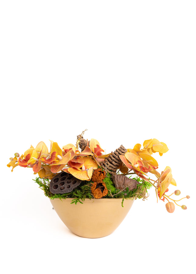 Aranjament Floral „Golden Orchid” în Vas Ceramic – Compoziție cu Orhidee Galbene, Licheni și Elemente Naturale Conservate