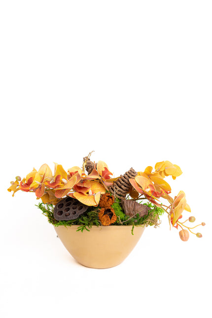 Aranjament Floral „Golden Orchid” în Vas Ceramic – Compoziție cu Orhidee Galbene, Licheni și Elemente Naturale Conservate