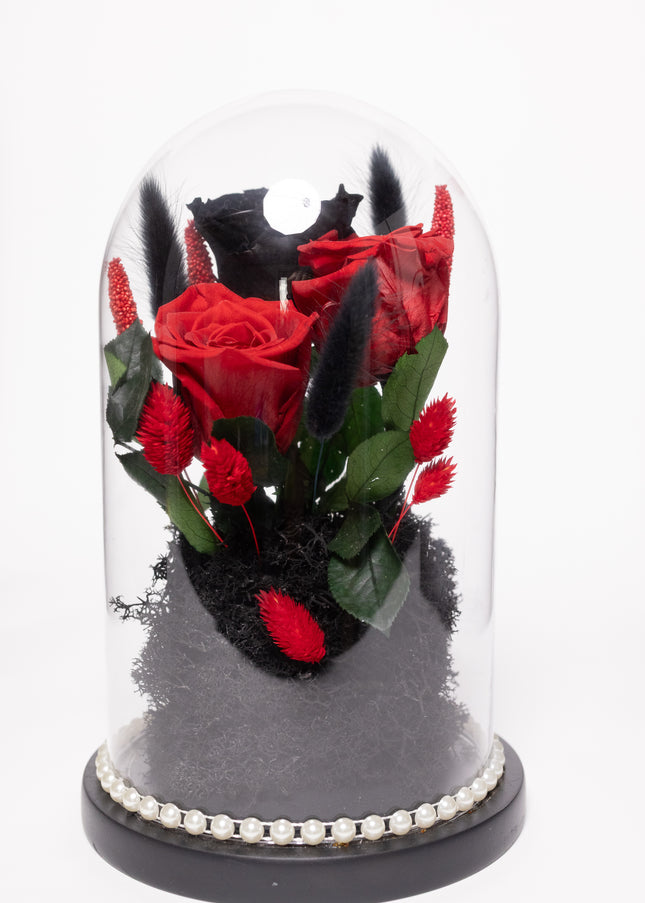 Cupolă Lux 3 Trandafiri Criogenați (Roșu & Negru) cu Perle