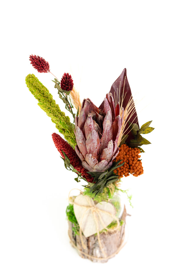 Mini-Aranjament Floral „Protea Soul” în Suport de Scoarță – Decor cu Floare Protea, Licheni și Accente Verzi