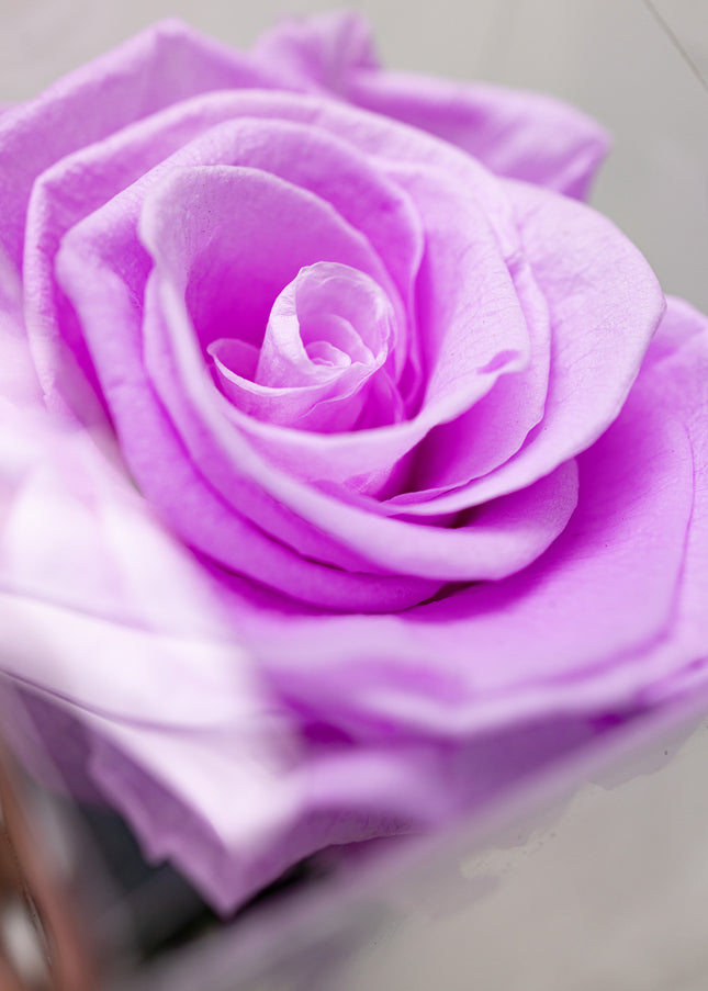 Aranjament de Lux "Amethyst Muse" cu Trandafir pe Tulpină