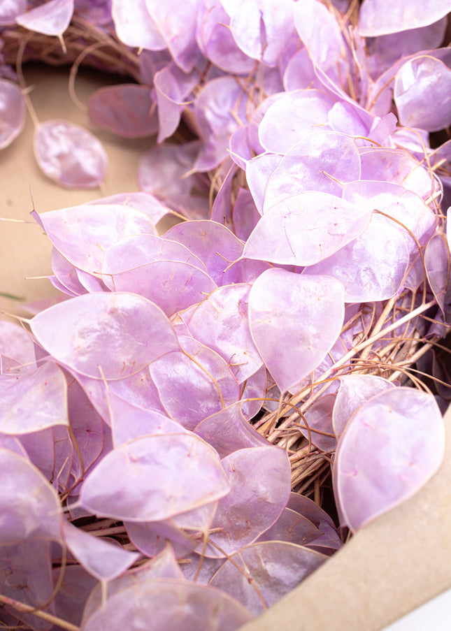 Coroniță Decorativă din Lunaria Mov – Aranjament Natural din Plante Uscate