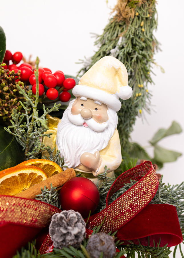 Aranjament Crăciun "Santa's Garden" cu Skimmia și Brad