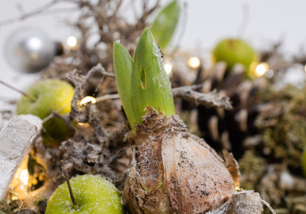 Coroniță de Crăciun Artizanală „Winter Glow & Botanical Nest”