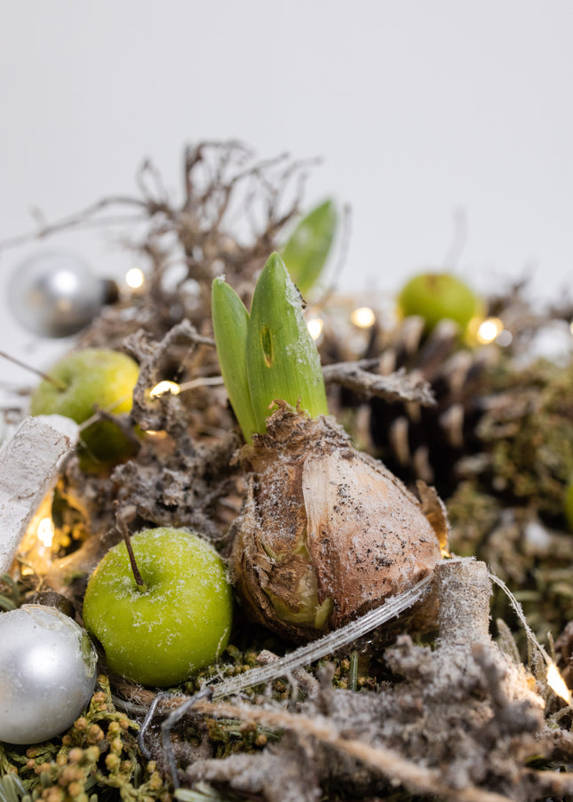 Coroniță de Crăciun Artizanală „Winter Glow & Botanical Nest”