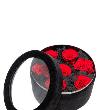 Aranjament Lux 5 Trandafiri Criogenați Roșii, Cutie Catifea Neagră