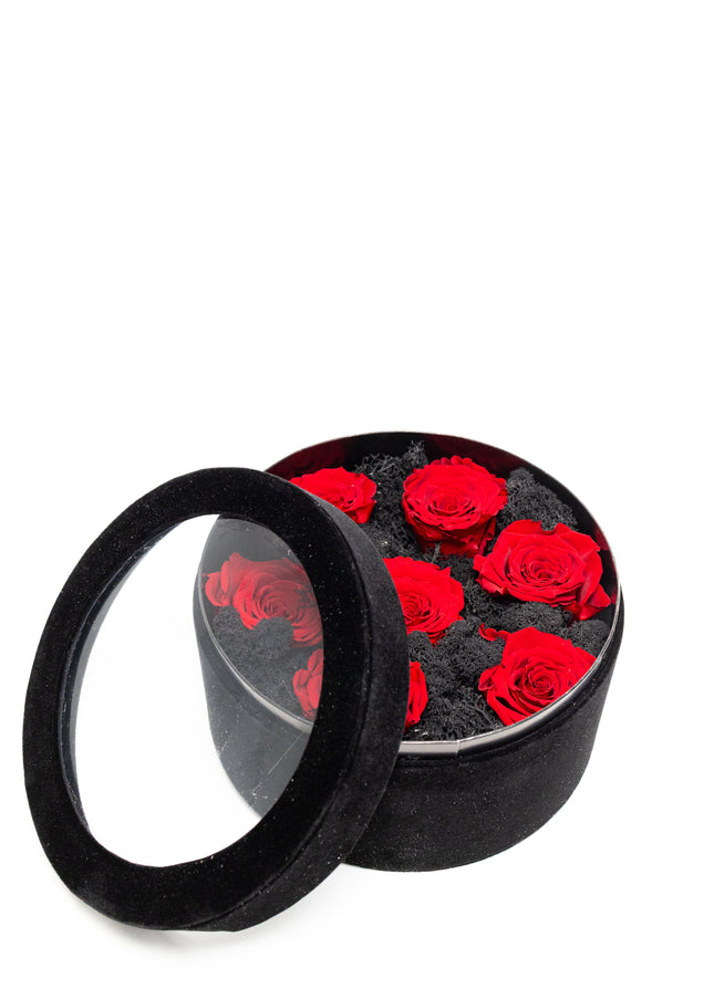 Aranjament Lux 5 Trandafiri Criogenați Roșii, Cutie Catifea Neagră
