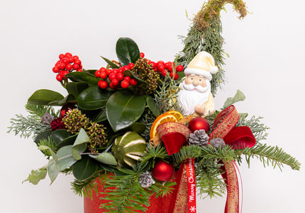 Aranjament Crăciun "Santa's Garden" cu Skimmia și Brad