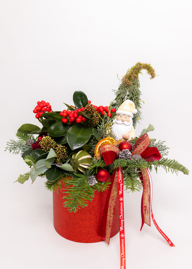 Aranjament Crăciun "Santa's Garden" cu Skimmia și Brad