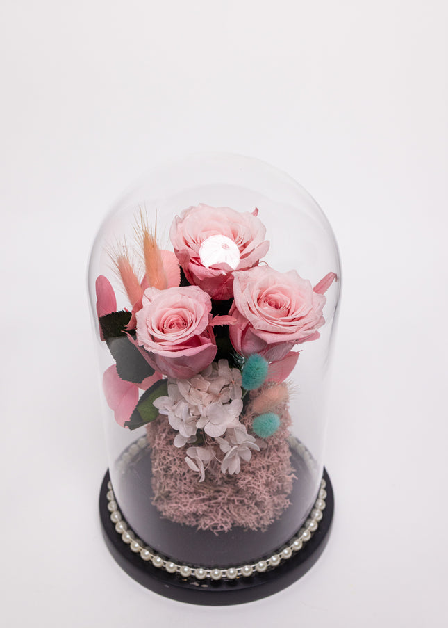 Cupolă Lux 3 Trandafiri Criogenați Roz & Perle