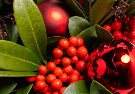 Aranjament Lux FloraArt cu Skimmia în Vas de Cupru