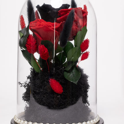 Cupolă Lux 3 Trandafiri Criogenați (Roșu & Negru) cu Perle