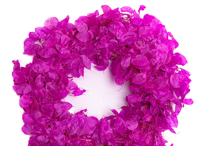 Coroniță Decorativă Lunaria Fucsia – Aranjament din Plante Naturale Uscate, Magenta Vibrant