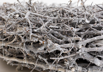 Bază Coroniță Artizanală din Rădăcini de Bonsai – Decor Handmade cu Aspect Înghețat și Textură Organică