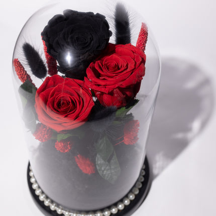 Cupolă Lux 3 Trandafiri Criogenați (Roșu & Negru) cu Perle