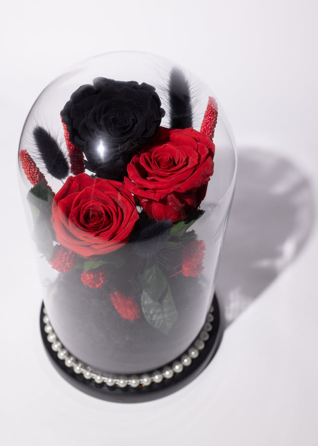 Cupolă Lux 3 Trandafiri Criogenați (Roșu & Negru) cu Perle