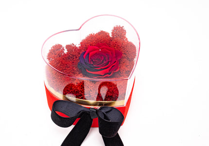Aranjament de Lux „Rainbow Eternal Rose” în Cupolă Acrilică