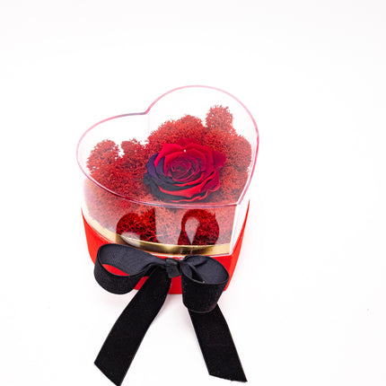 Aranjament de Lux „Rainbow Eternal Rose” în Cupolă Acrilică