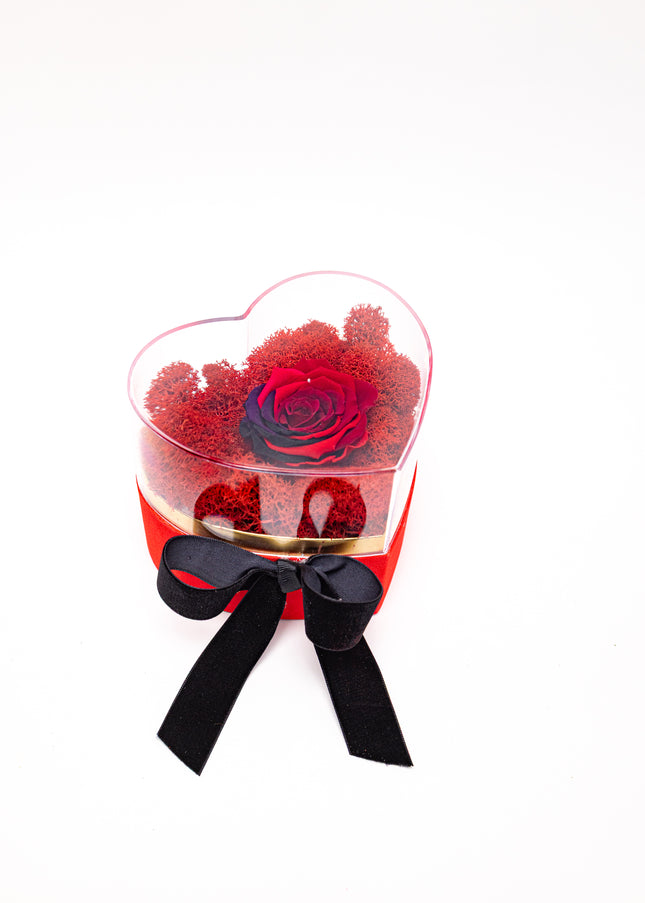 Aranjament de Lux „Rainbow Eternal Rose” în Cupolă Acrilică